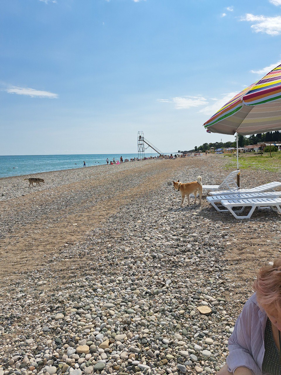 Черноморец (Гудаута)