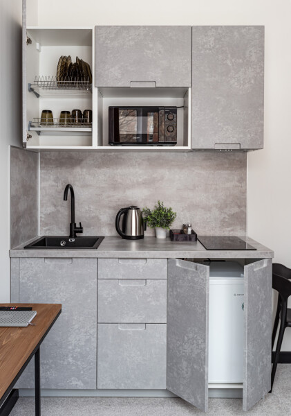 Студио 2-местный (TWIN + диван с мини-кухней)