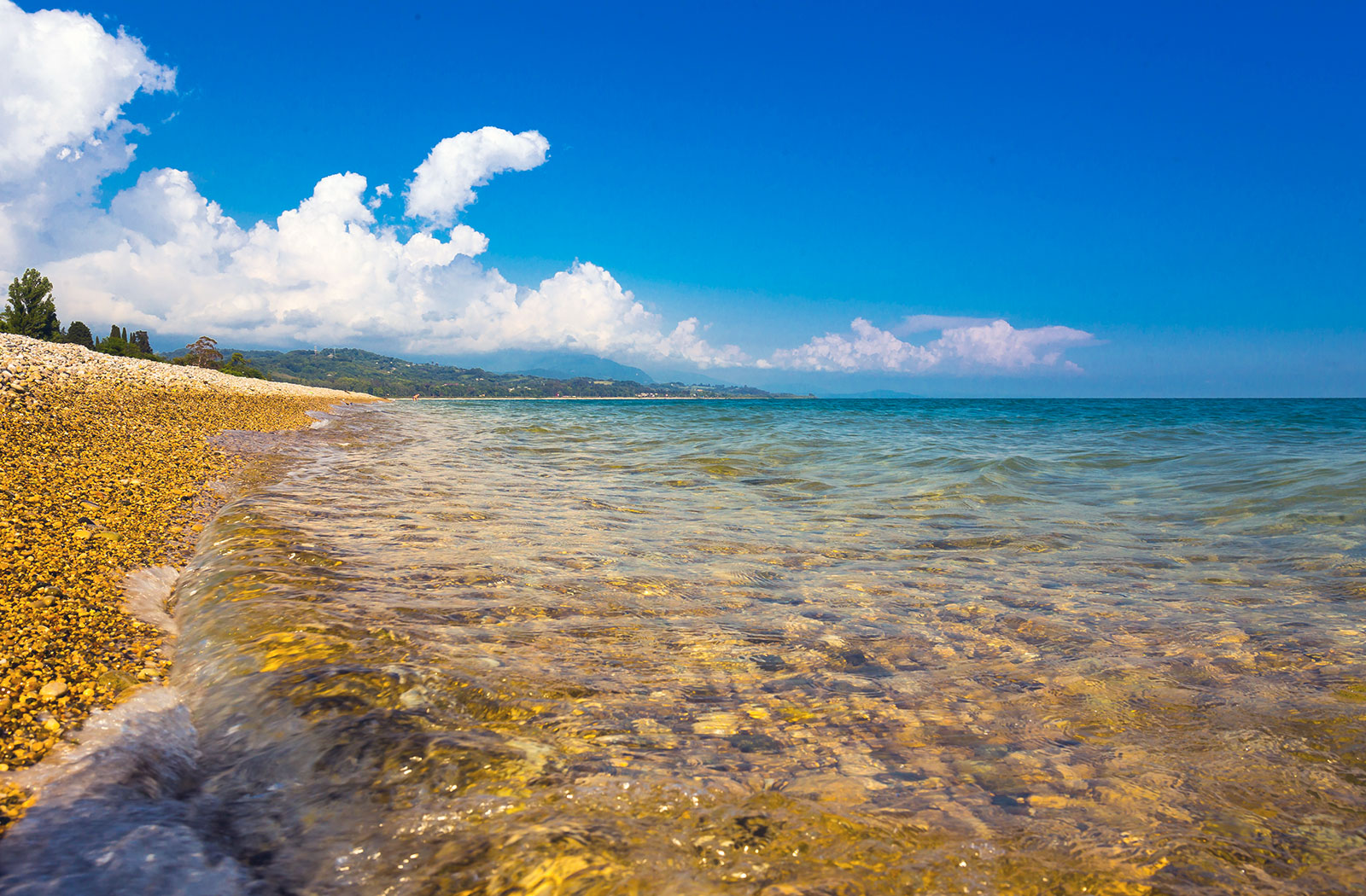 Золотой якорь(Гудаута)