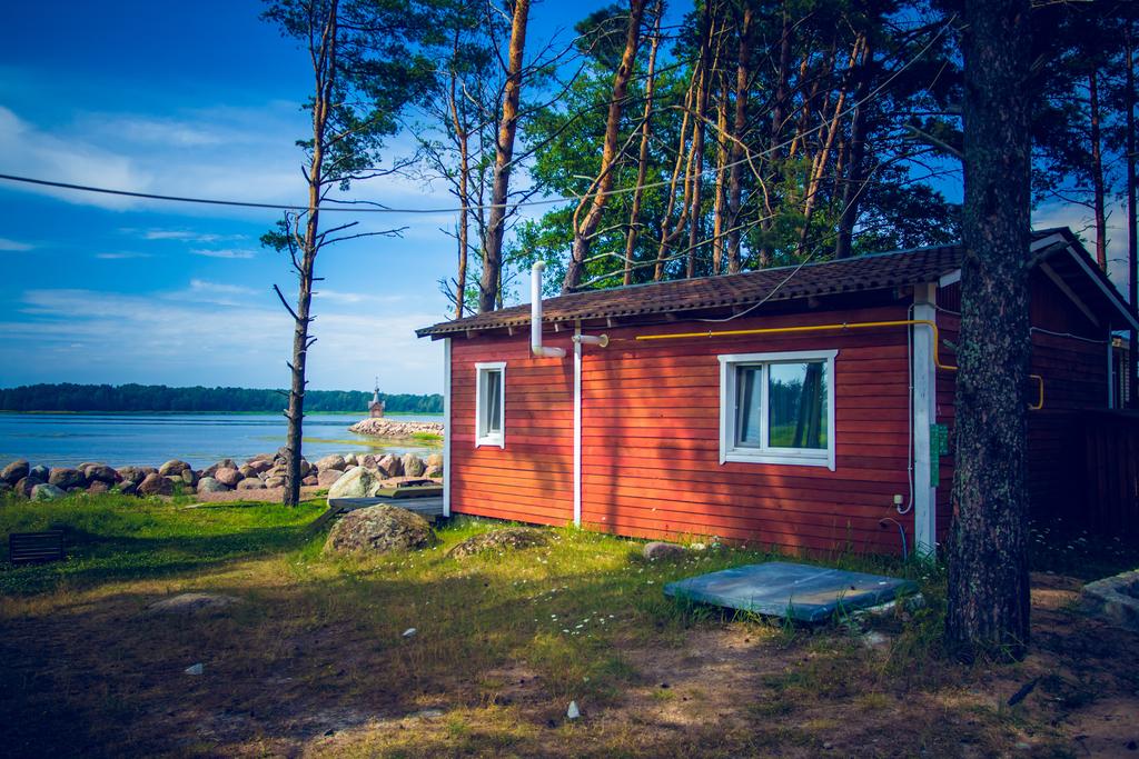 Дома на берегу финского залива фото