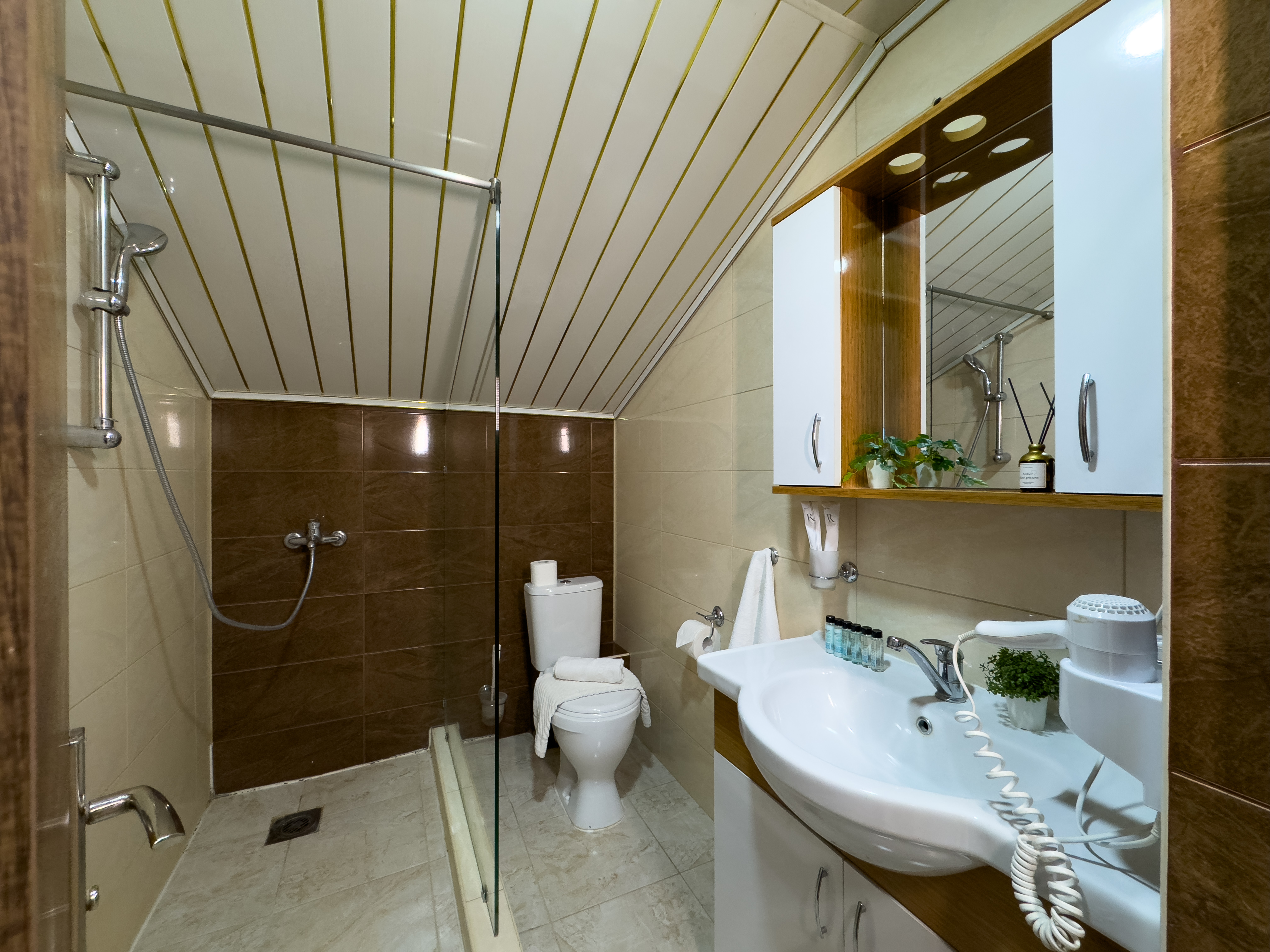 Супериор Плюс 3-местный 1-комнатный (с балконом)