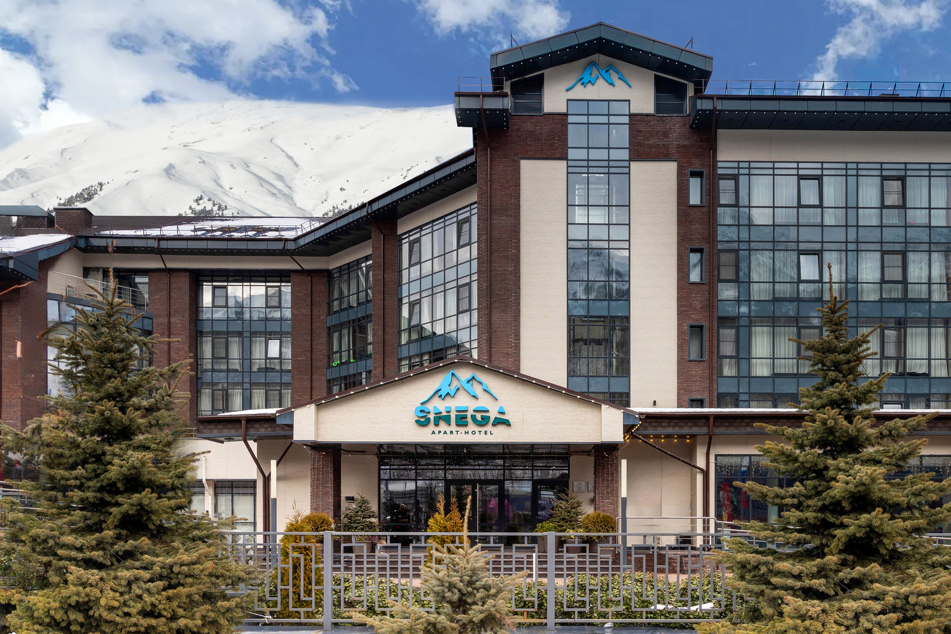 Внешний вид