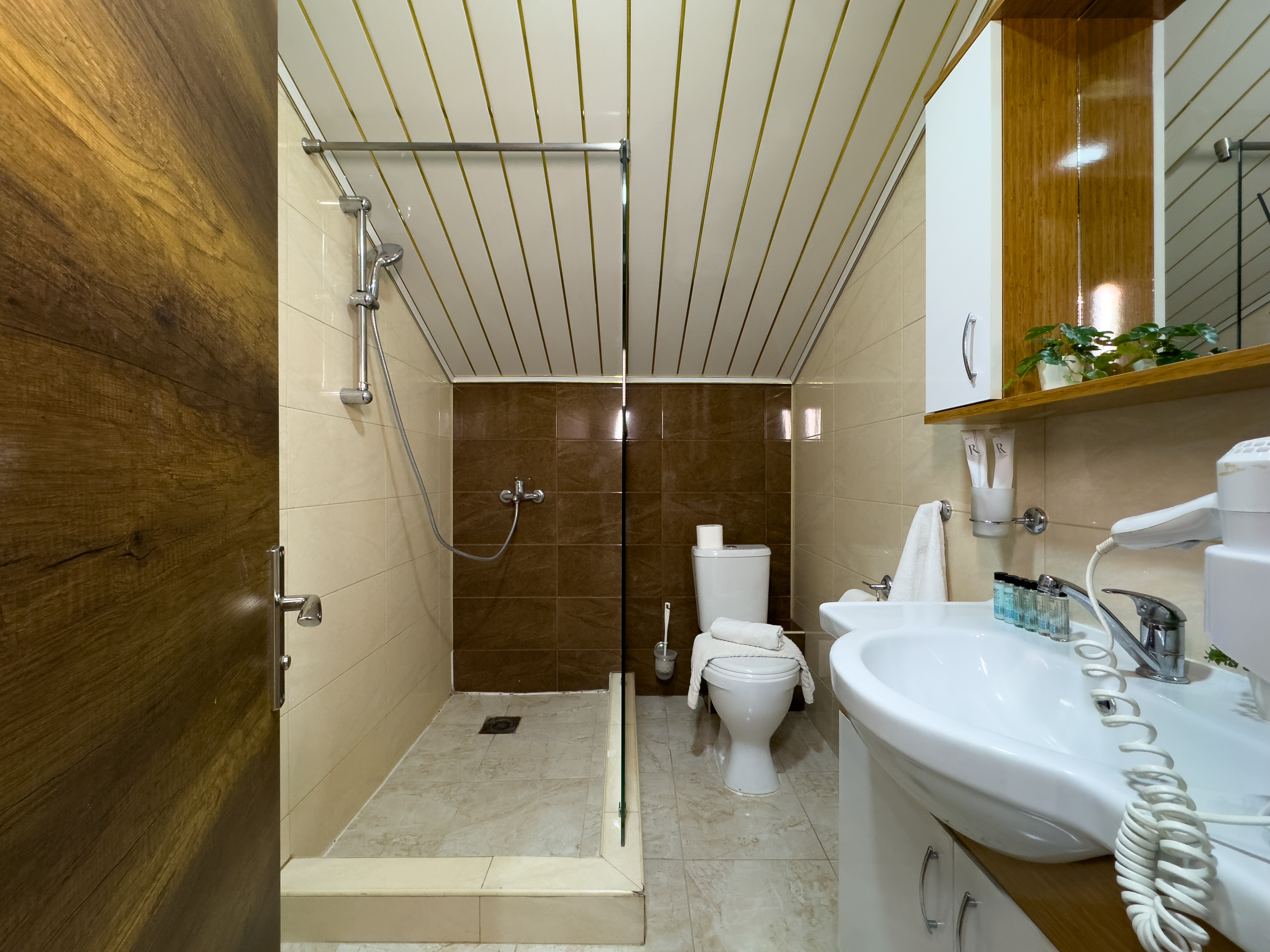 Супериор Плюс 3-местный 1-комнатный (с балконом)