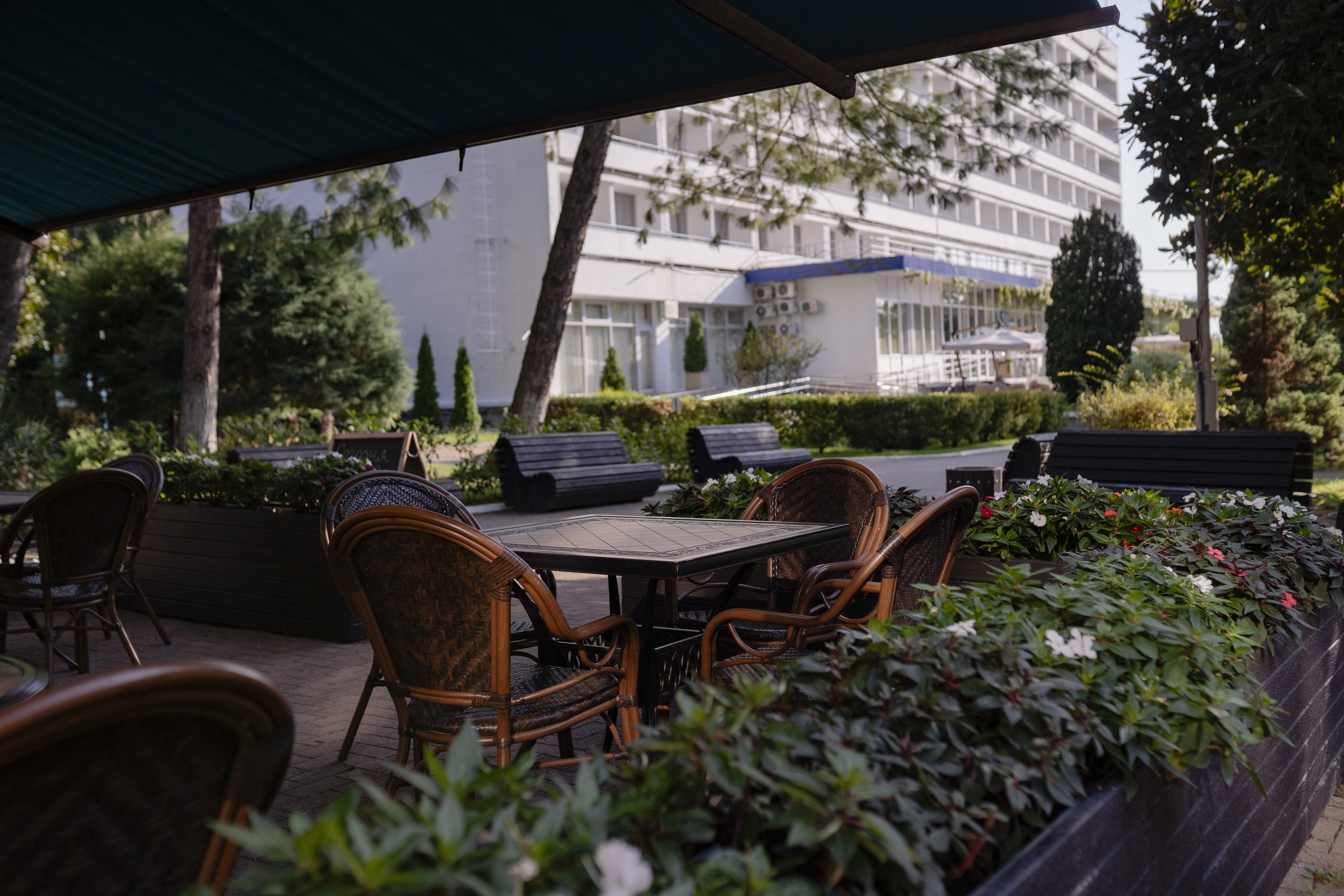 Территория