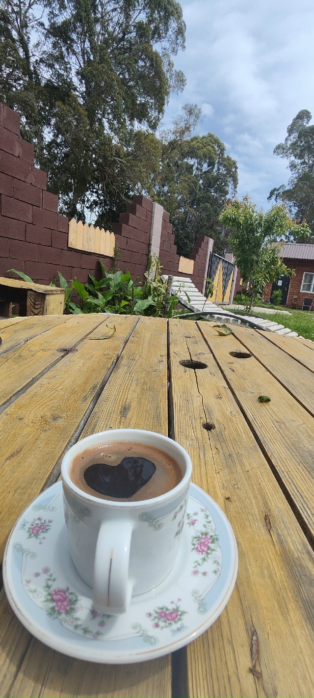 Асса (Пицунда)