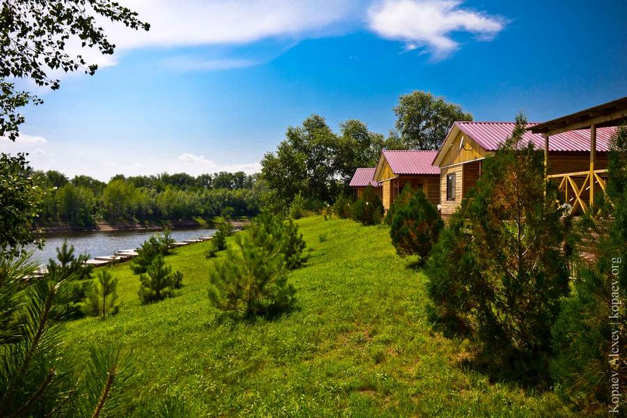 Летучая рыба — Каршевитое, село
