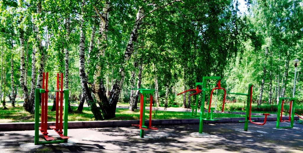 Борисовский