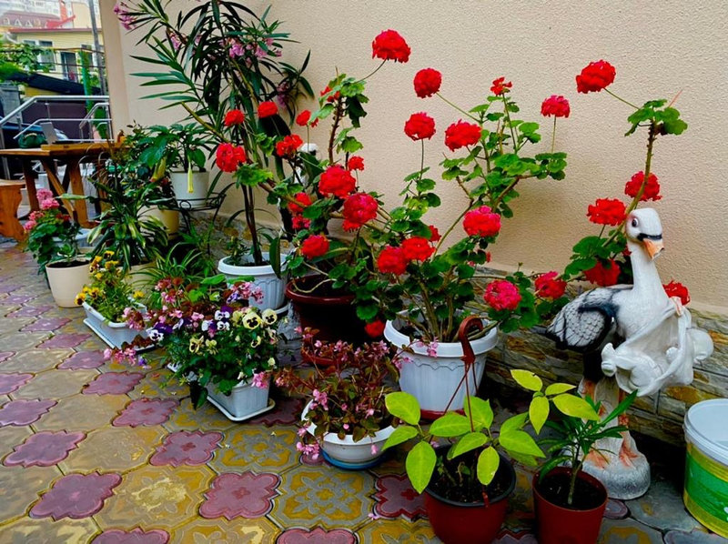 Фото 3