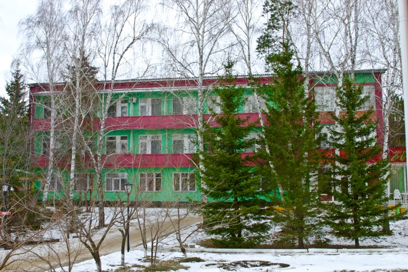 Сосновый бор (Красноярск)