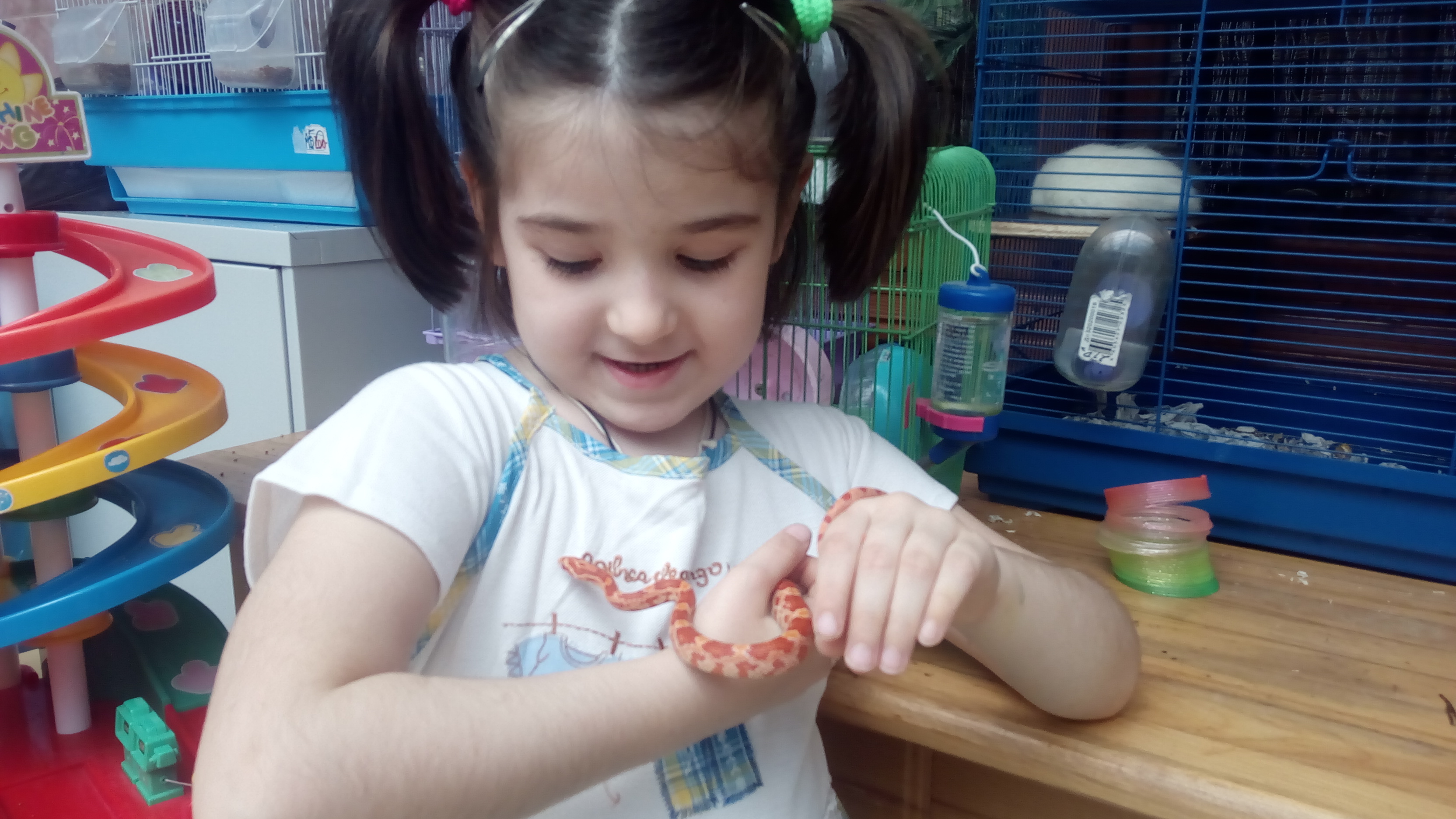 Домашний зоопарк