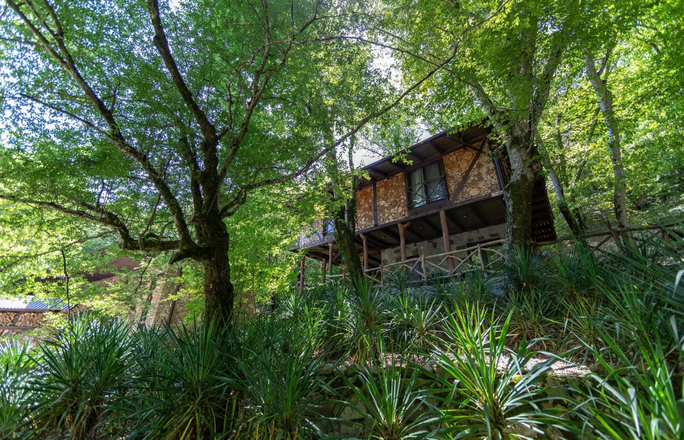 Территория