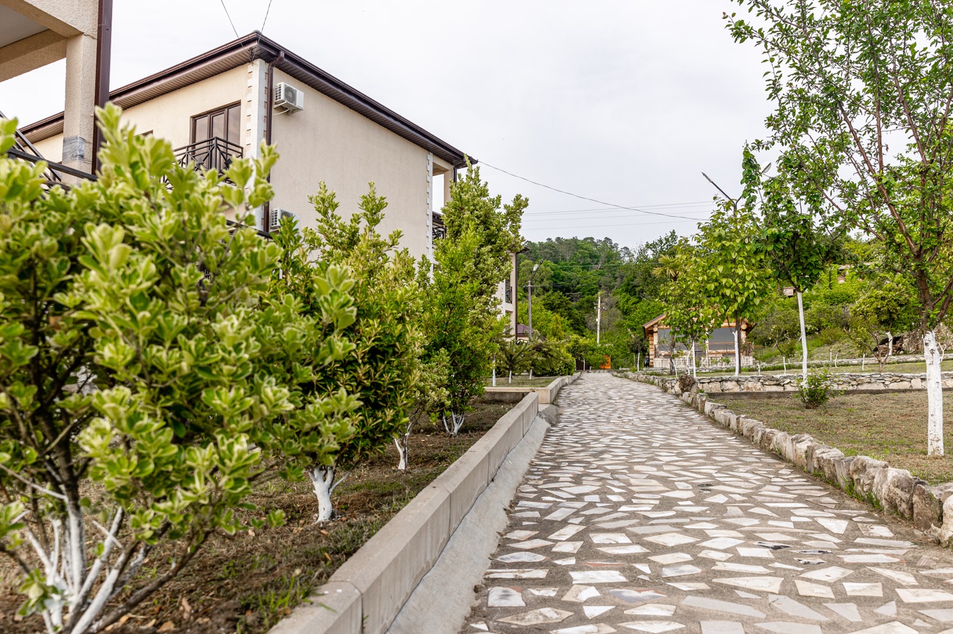 Территория