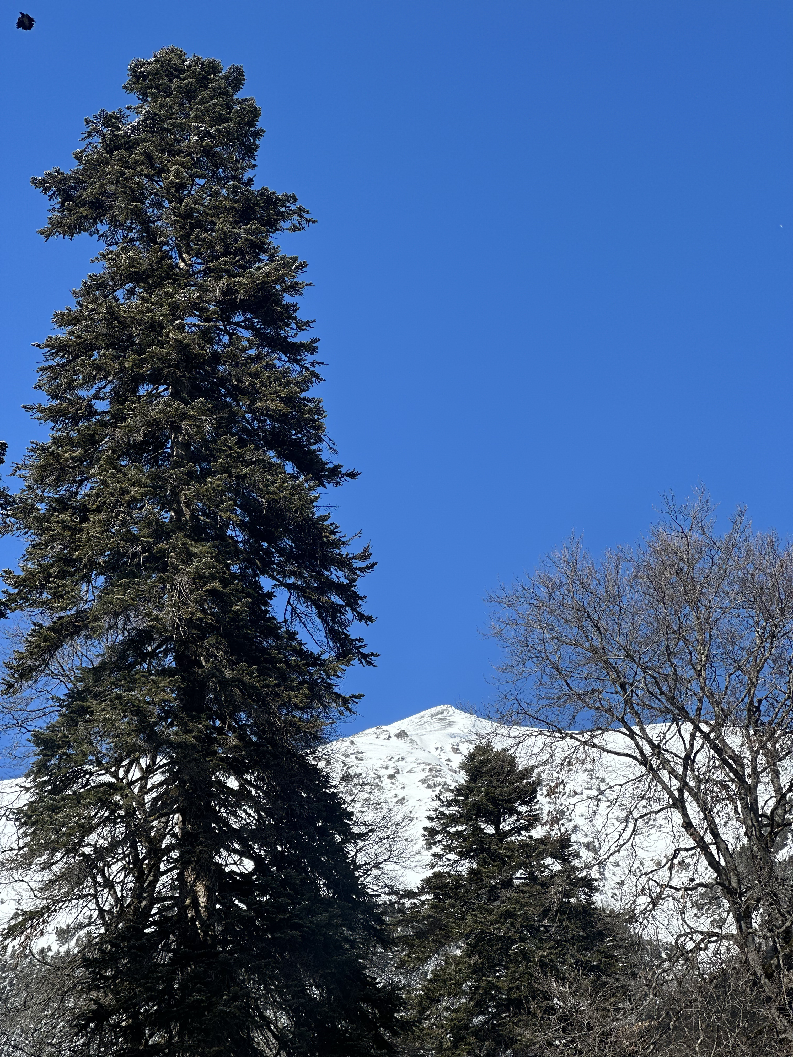 Фото 9