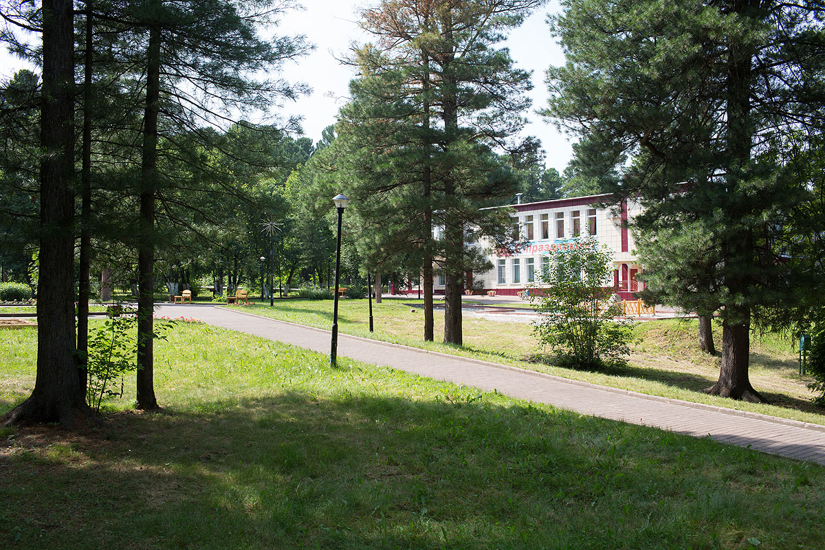 Кедровый бор