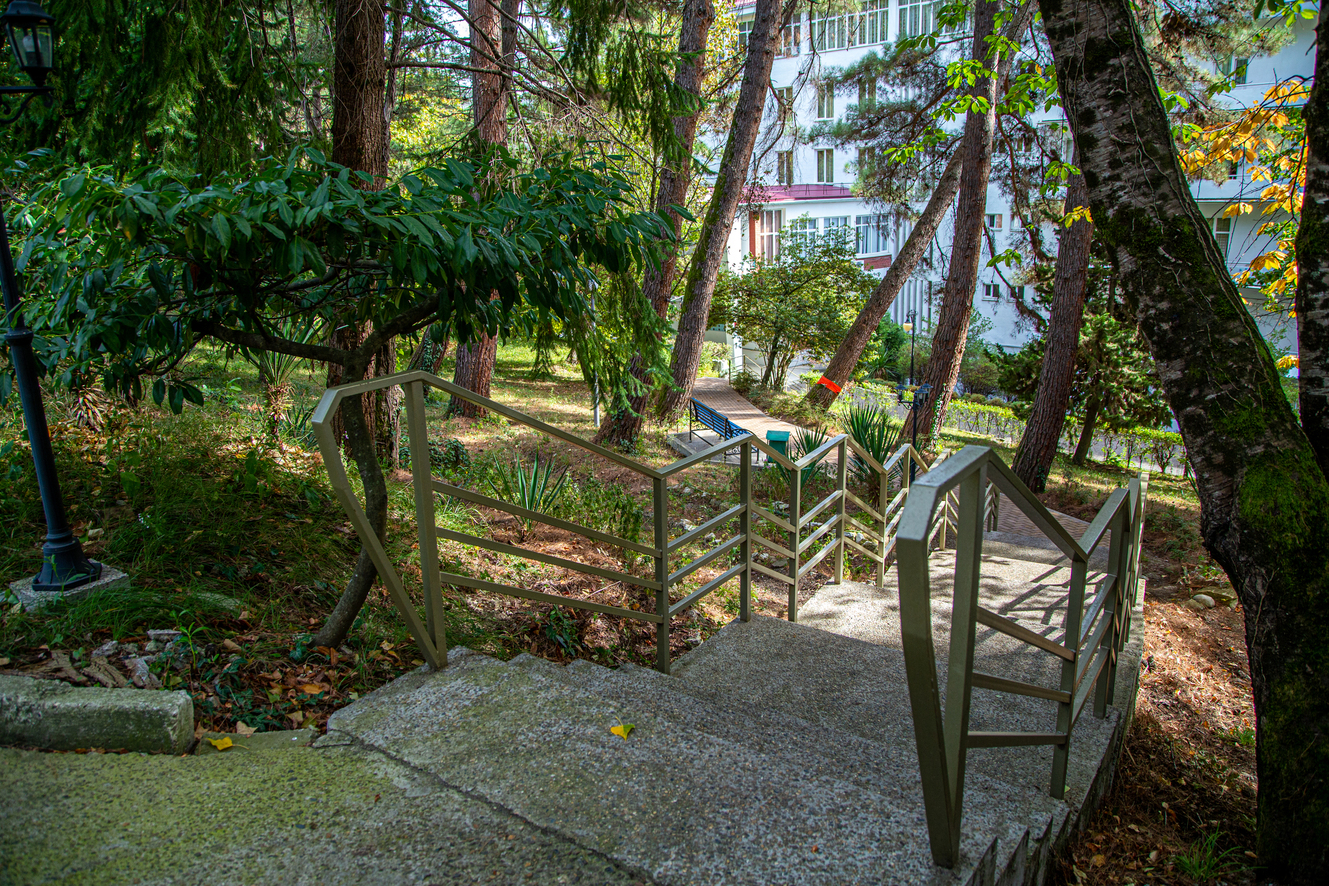 Территория