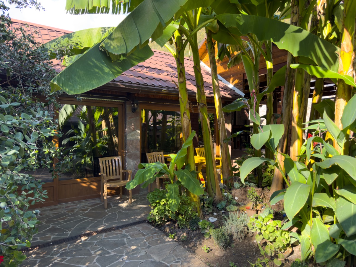 Территория