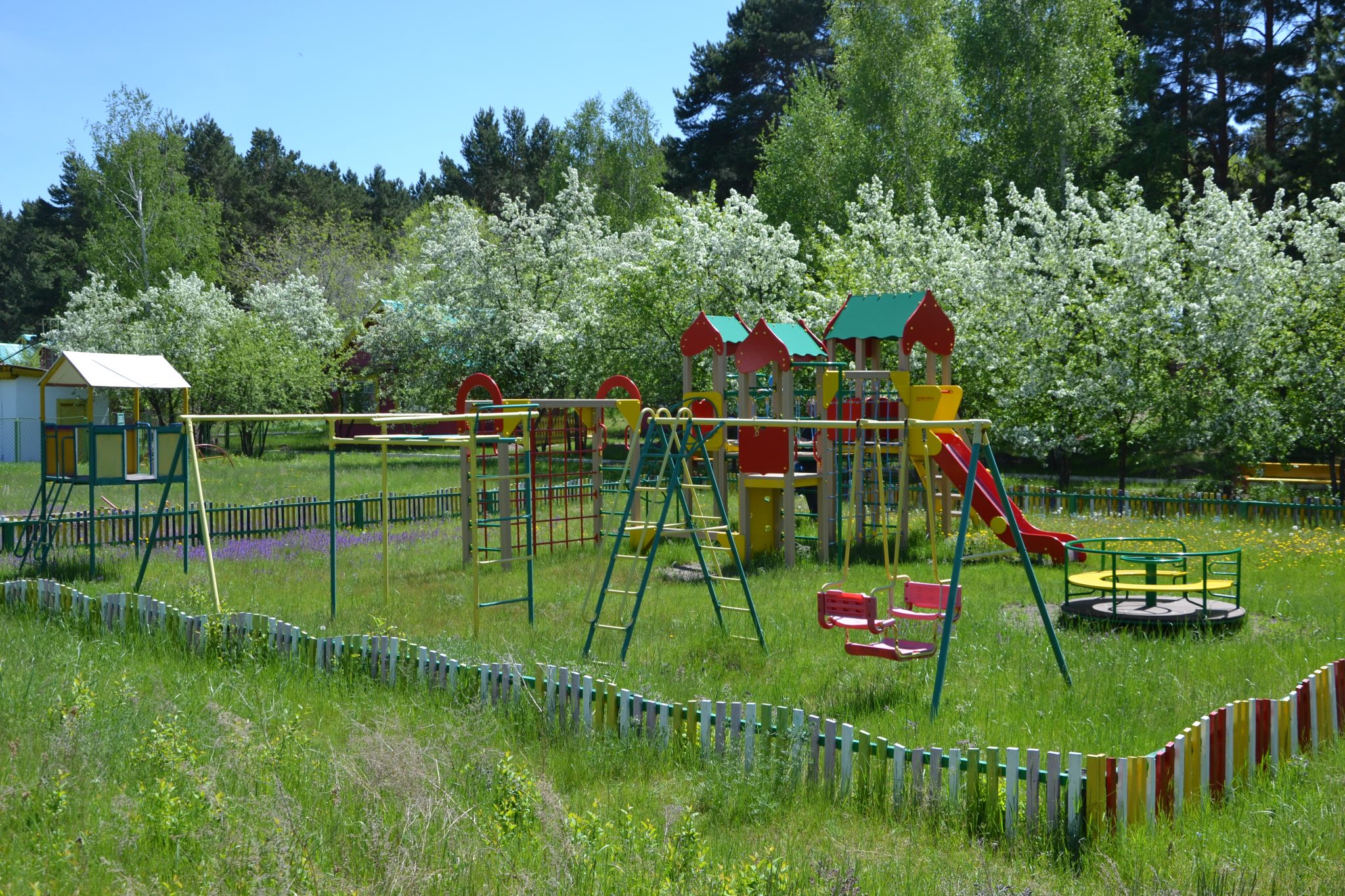 Сосновый бор (Красноярск)