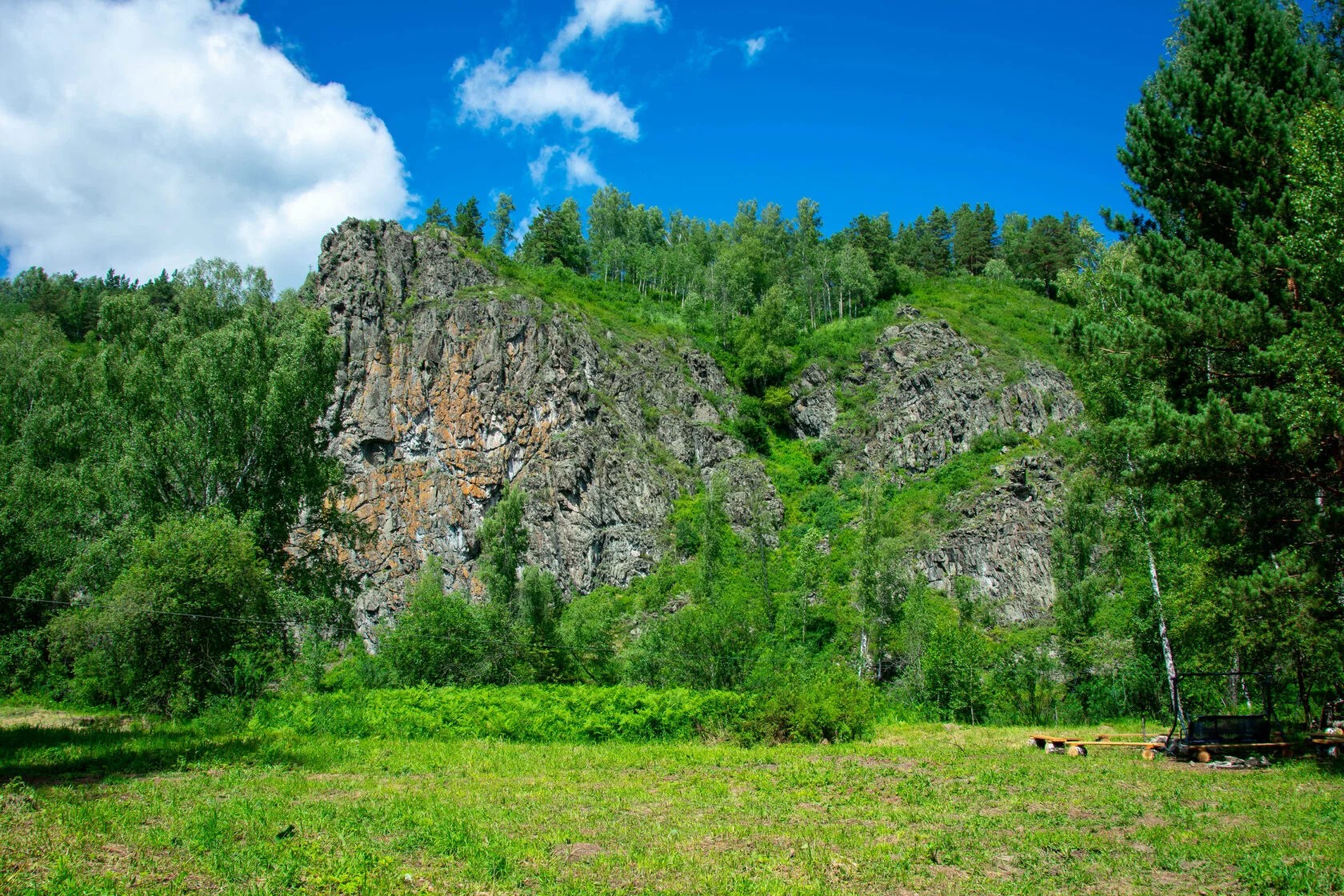 Бердь Таёжная