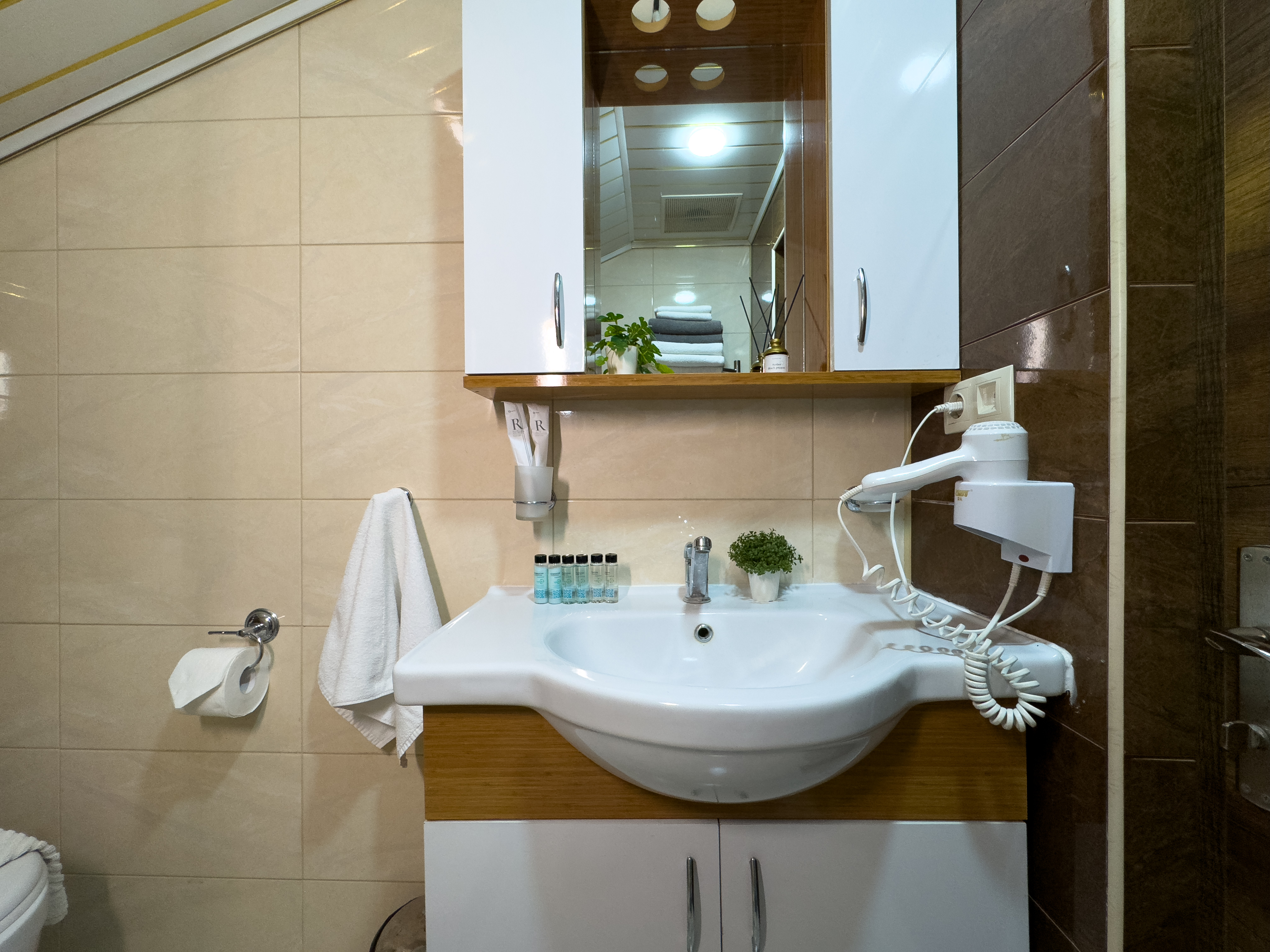 Супериор Плюс 3-местный 1-комнатный (с балконом)