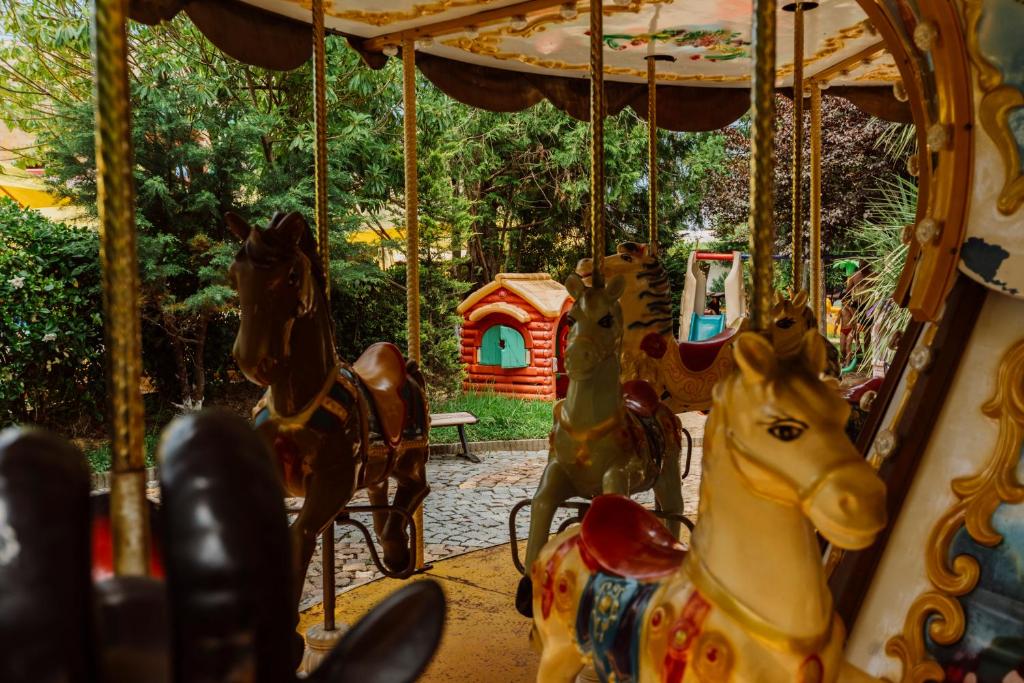 Dreamland Oasis Chakvi