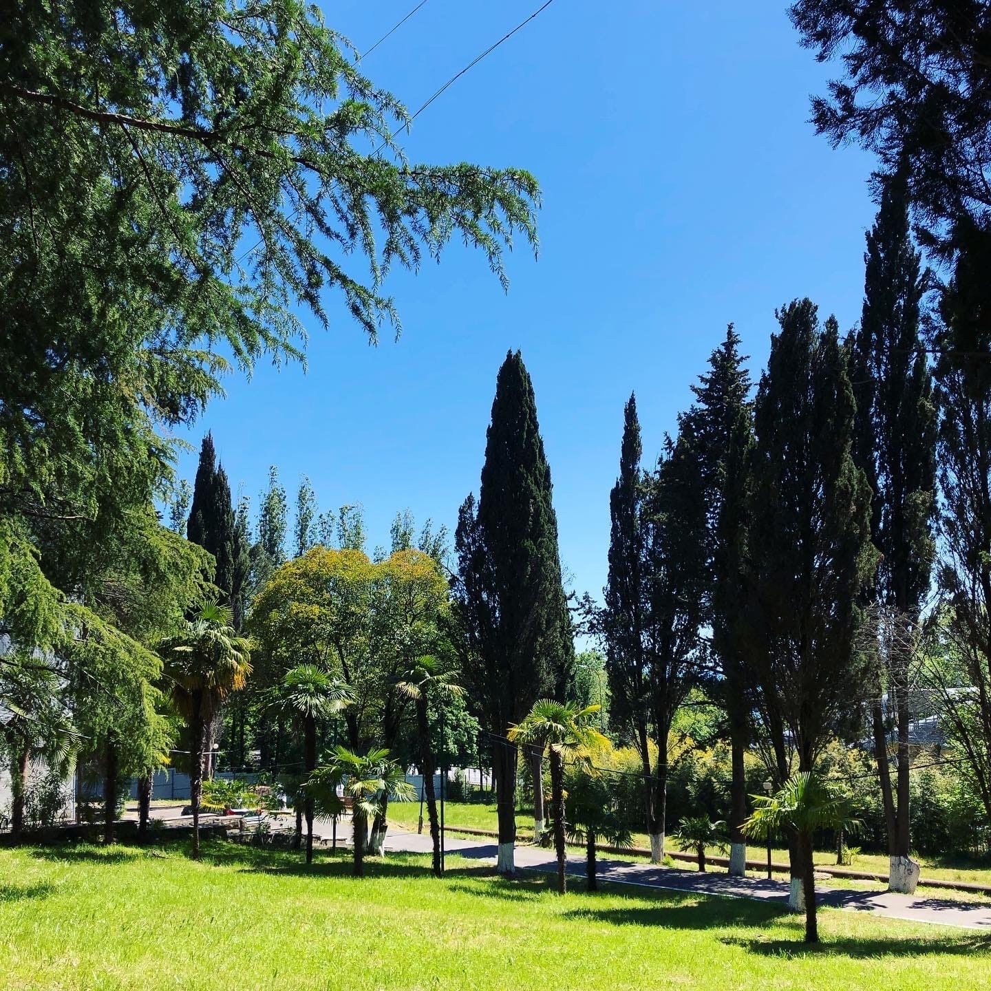 Фото 4