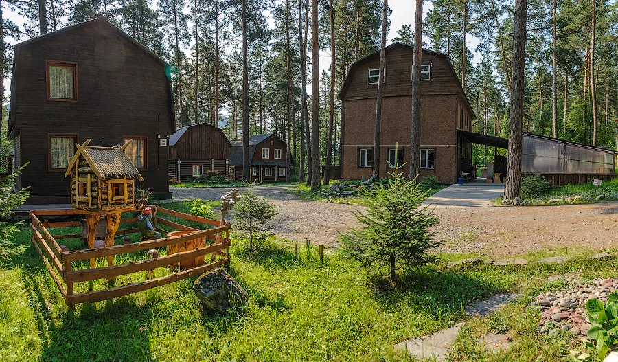 Сибиряки