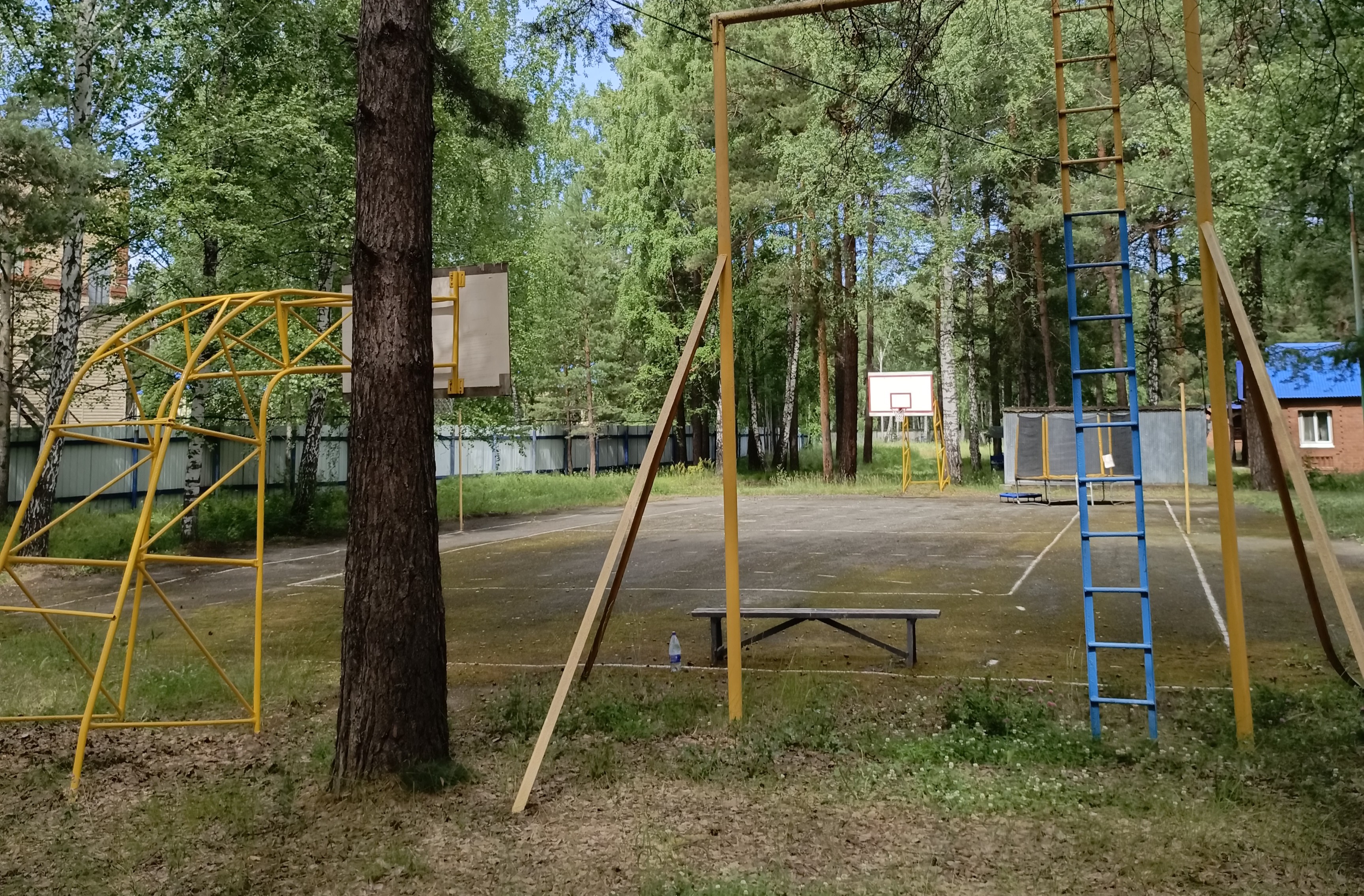 Дружба-Ямал