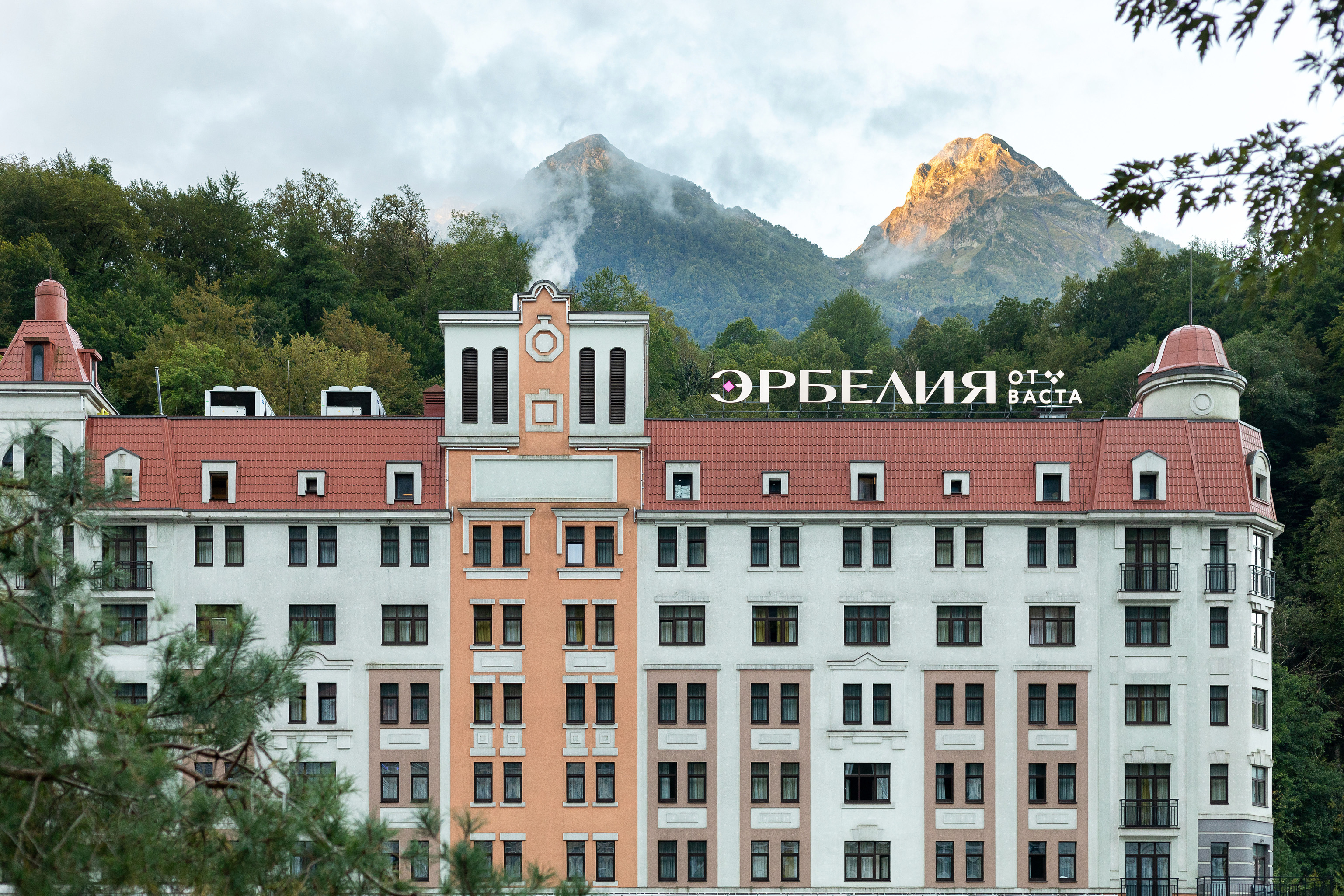 Внешний вид