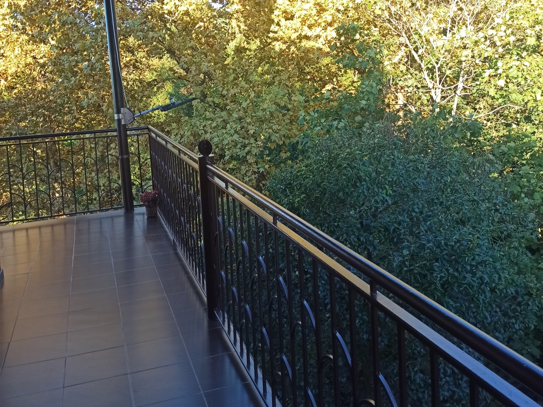 Илфи-панорама