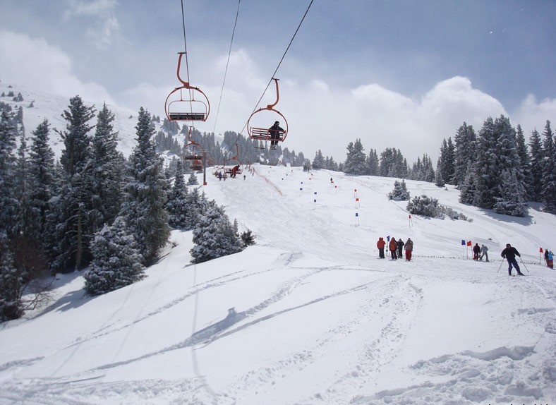 Территория