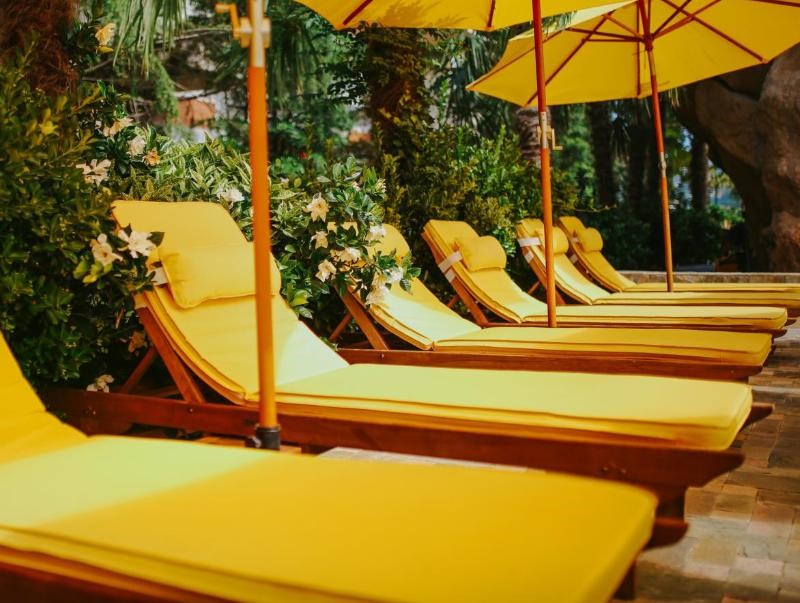 Dreamland Oasis Chakvi