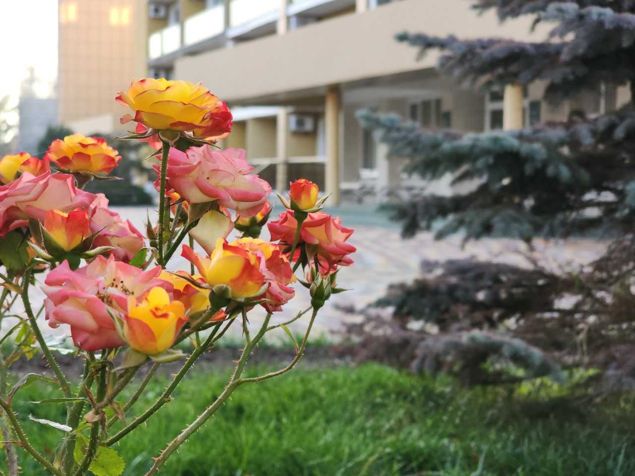 Фото 3