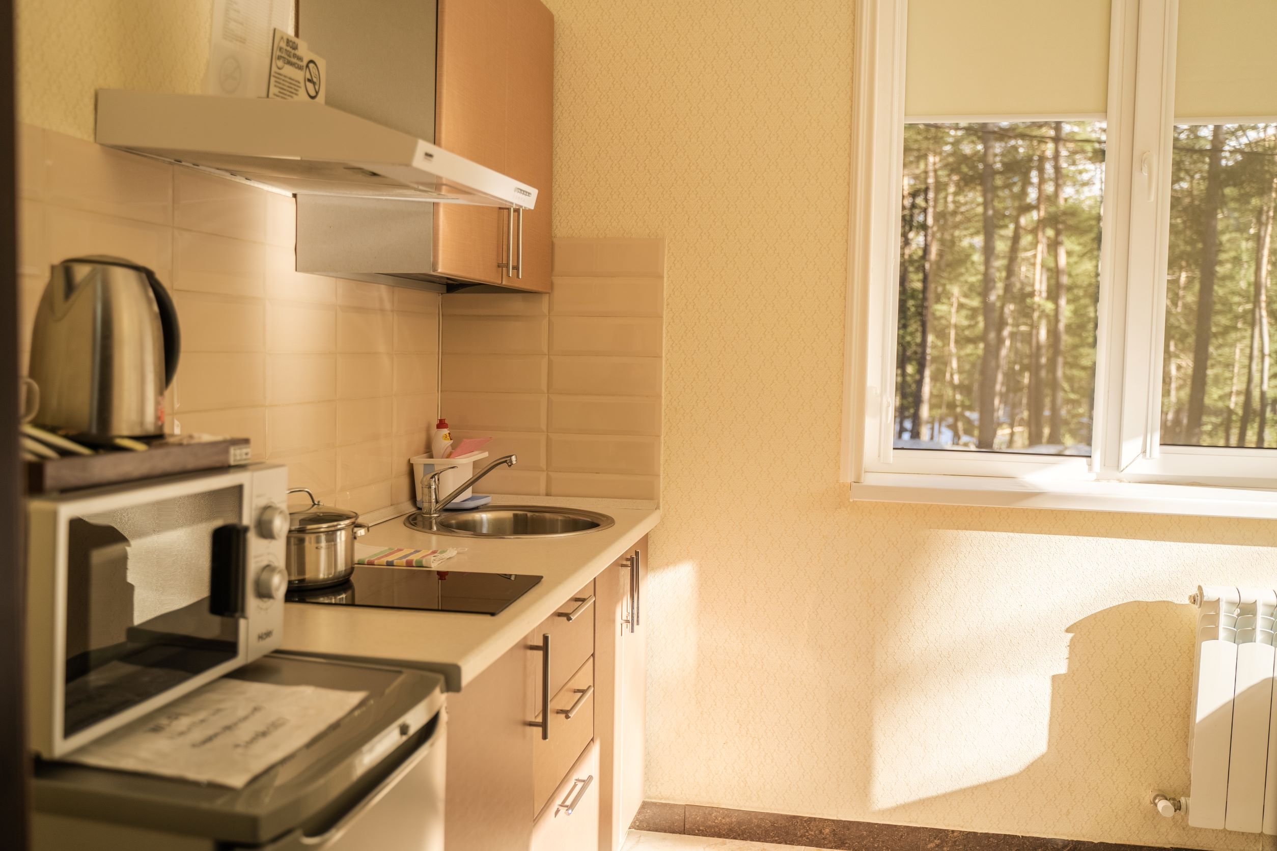 Комфорт 3-местный 1-комнатный (DBL с диваном)