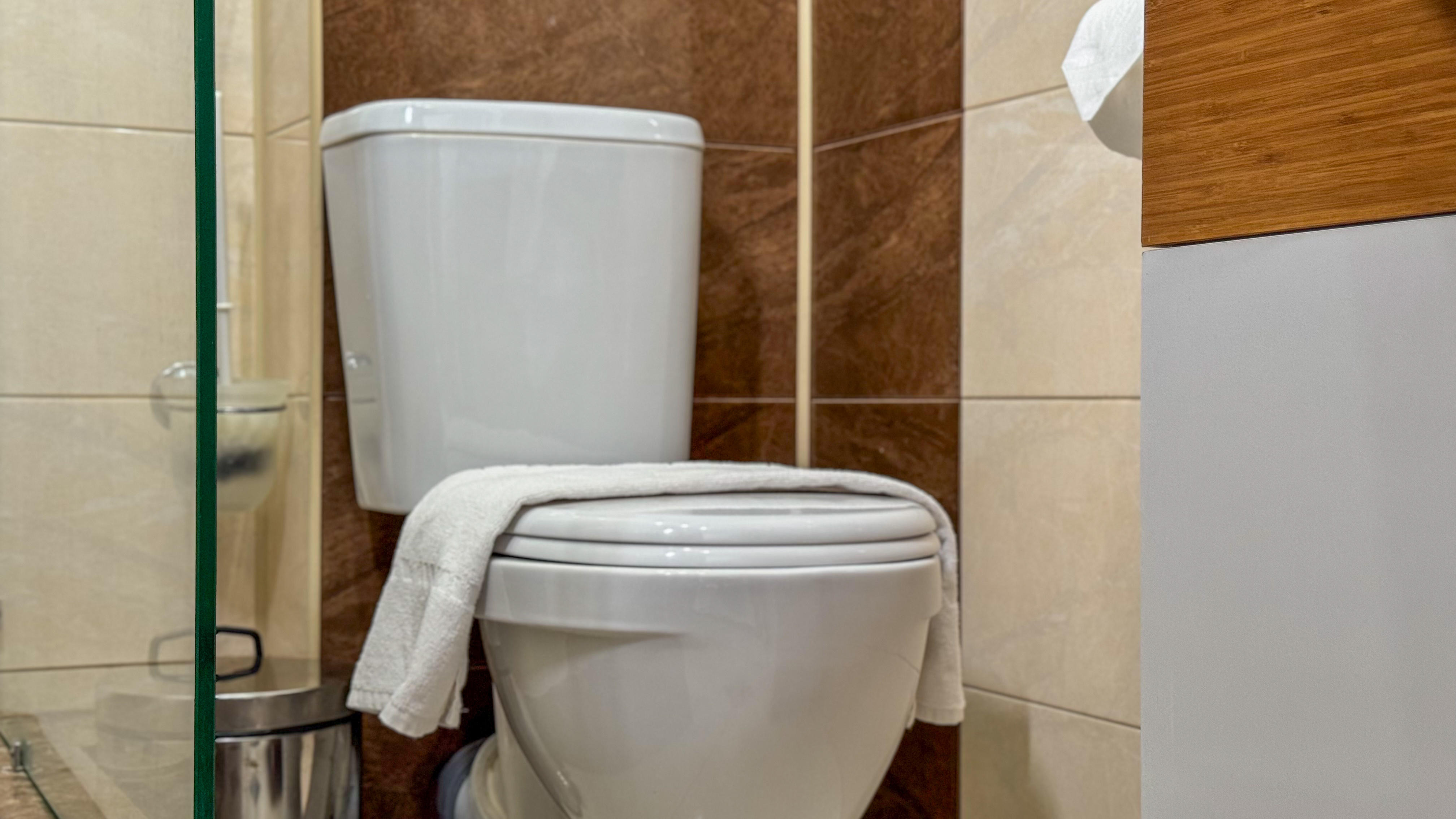 Супериор Плюс 3-местный 1-комнатный (с балконом)