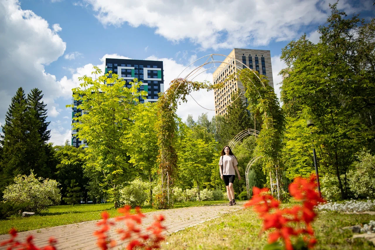 Территория