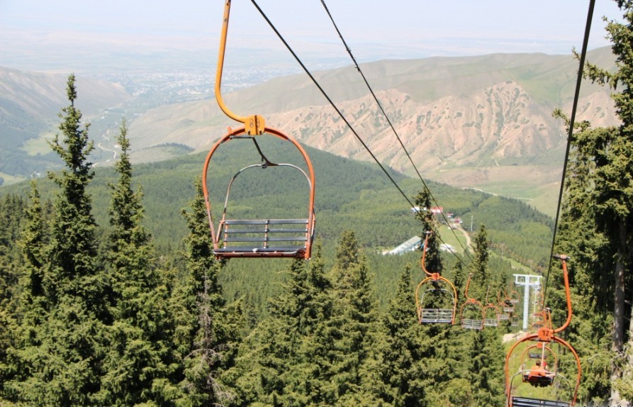 Территория