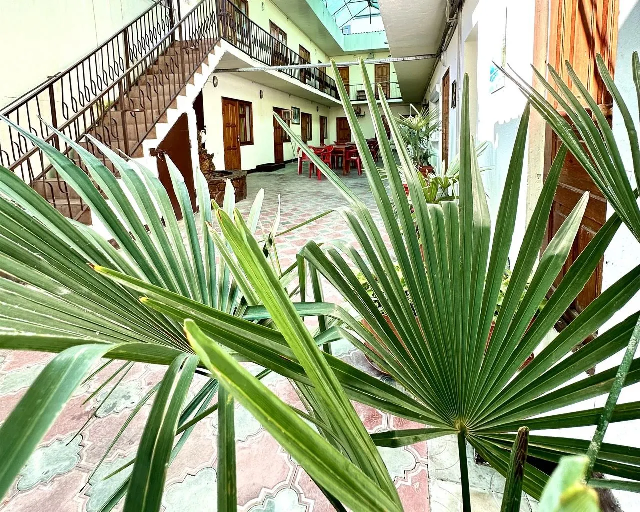 Фото 4
