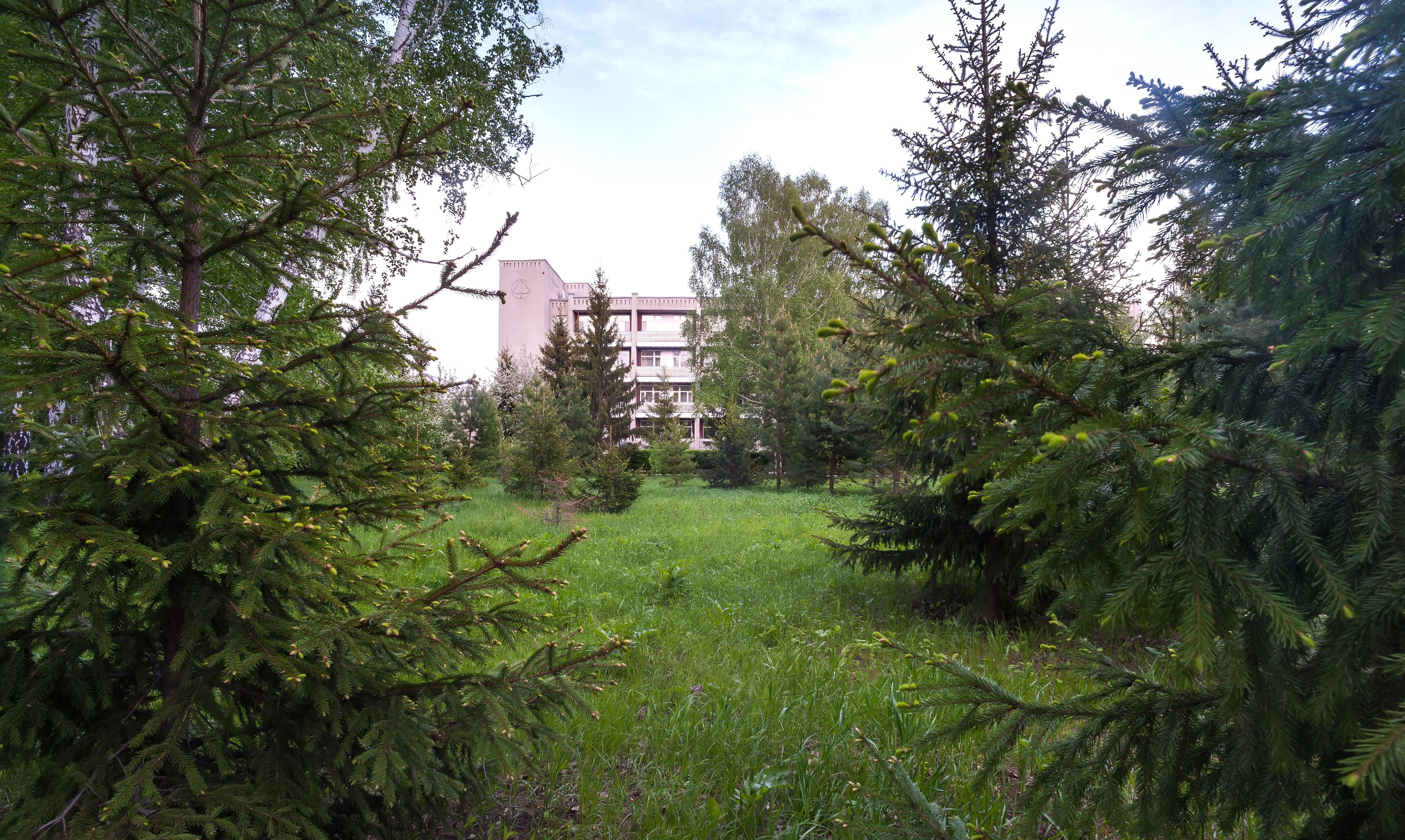Краснозерский