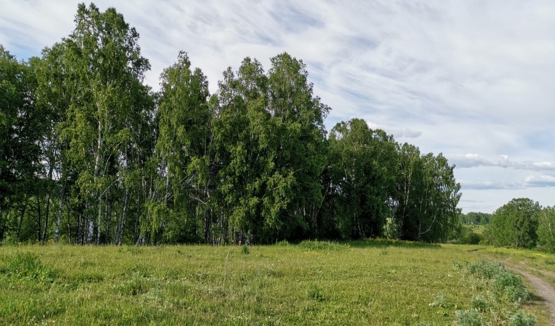 Кинтереп