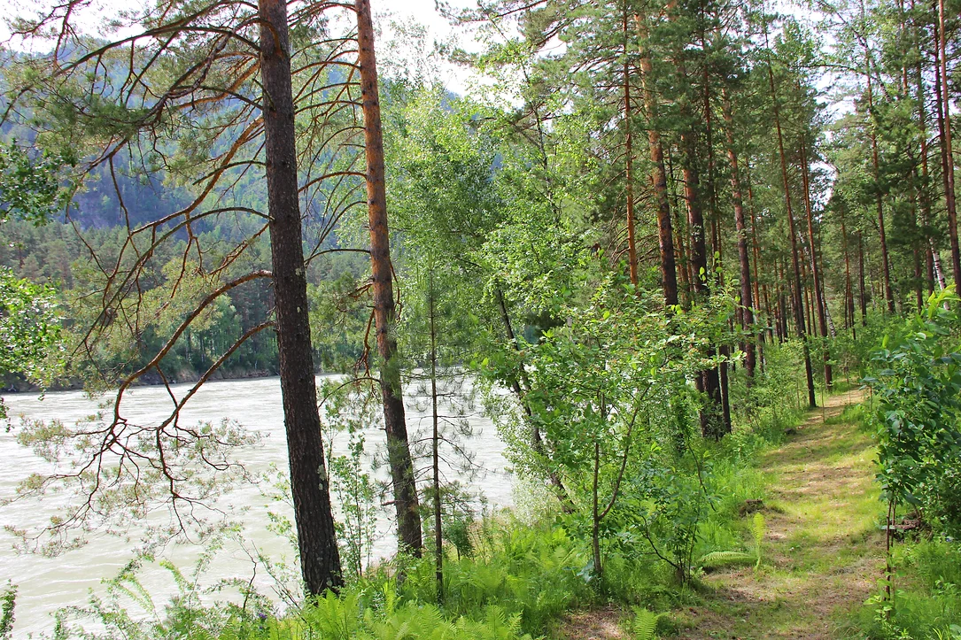ЭРАНДЭЛ