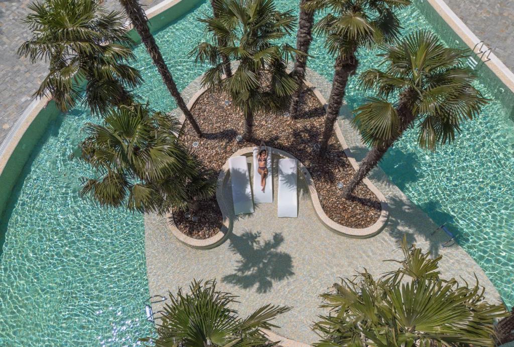 Dreamland Oasis Chakvi