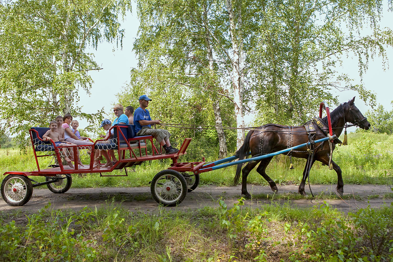Шушенский