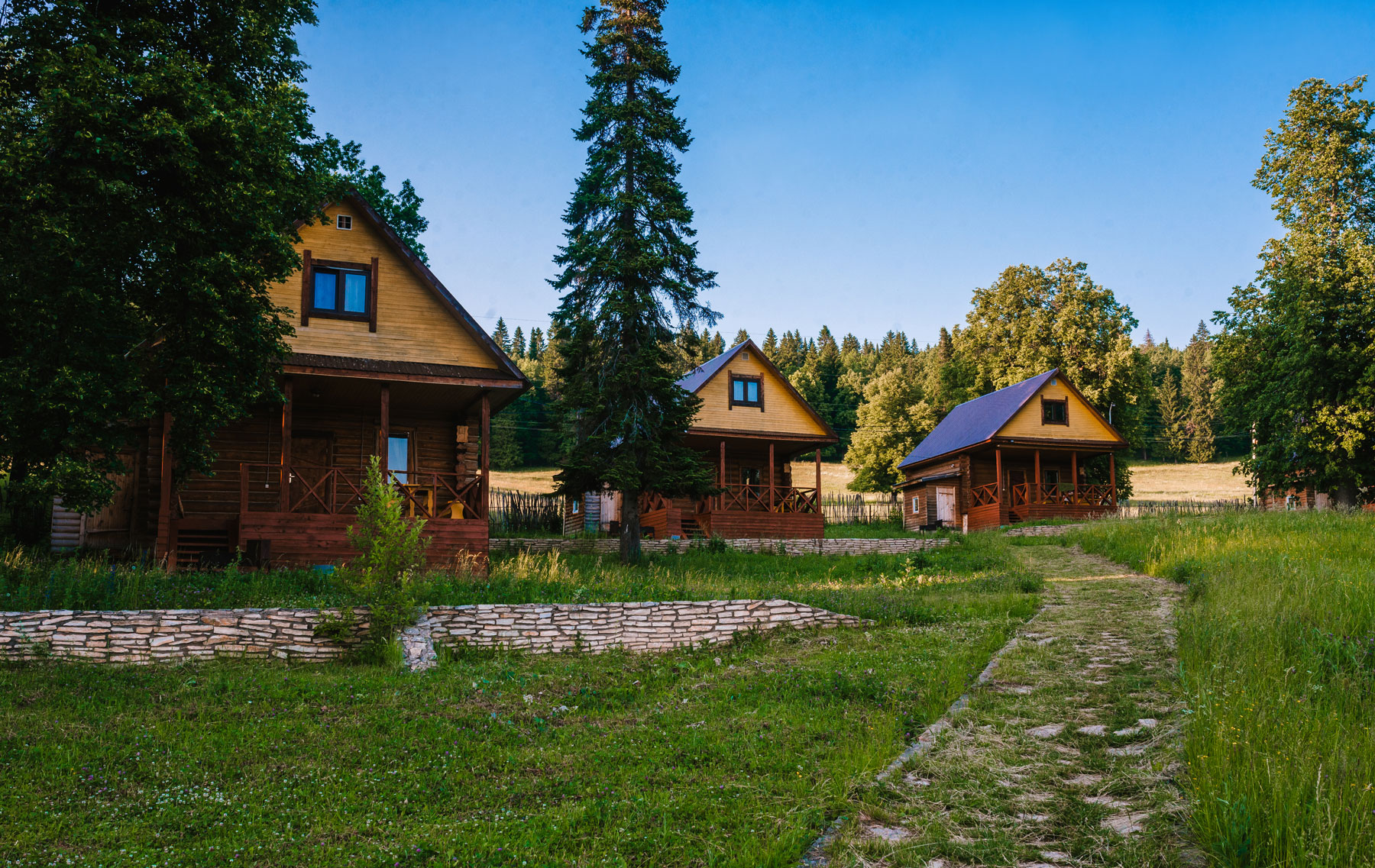 Внешний вид