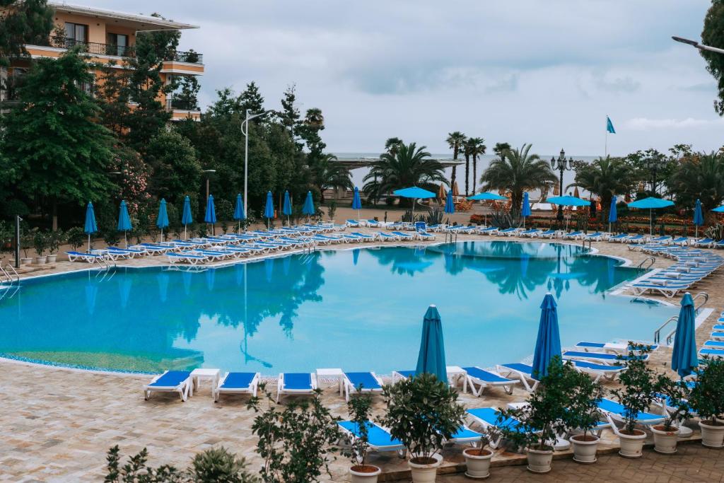 Dreamland Oasis Chakvi