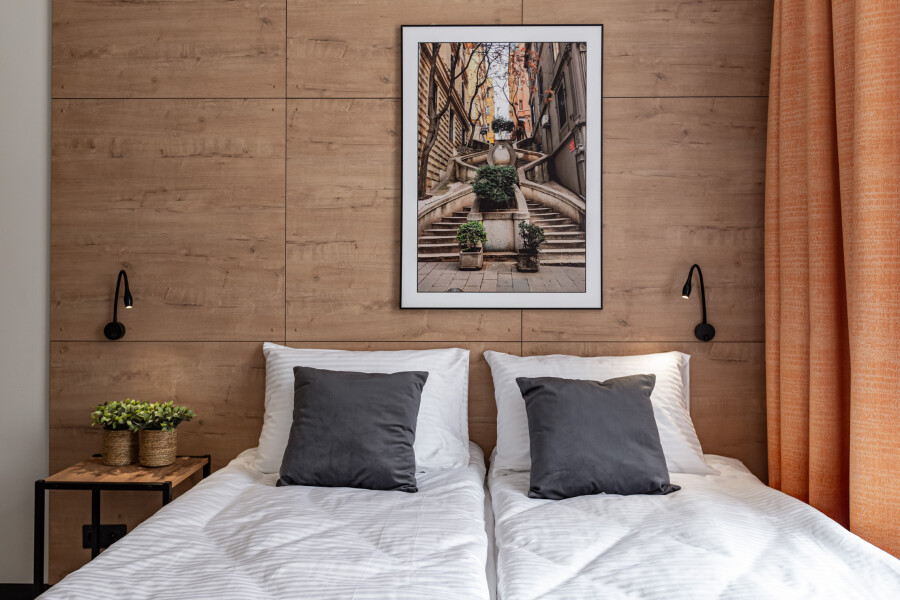 Студио 2-местный (TWIN + диван с мини-кухней)