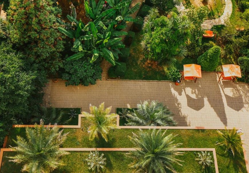 Dreamland Oasis Chakvi