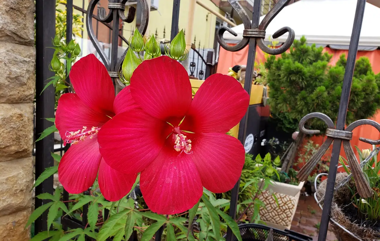 Фото 9