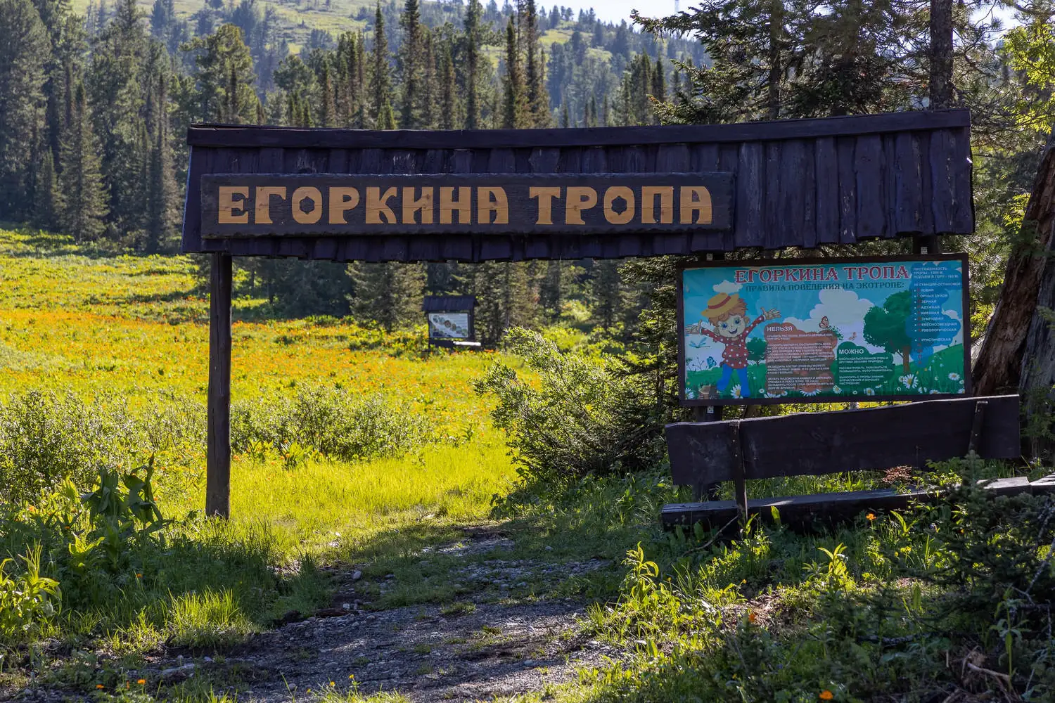Ергаки