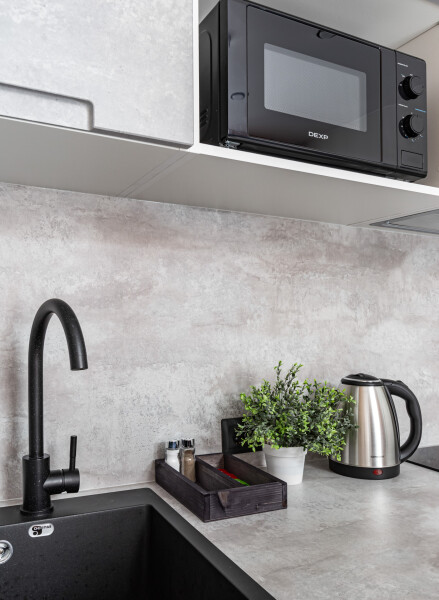 Студио 2-местный (TWIN + диван с мини-кухней)