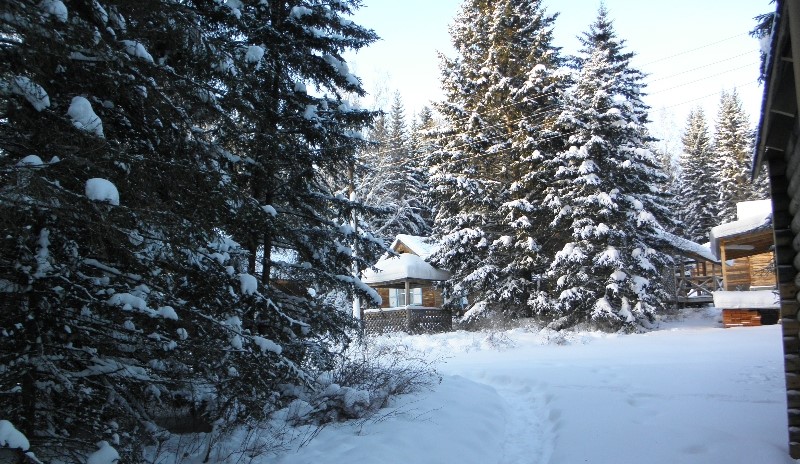 Раухова мельница